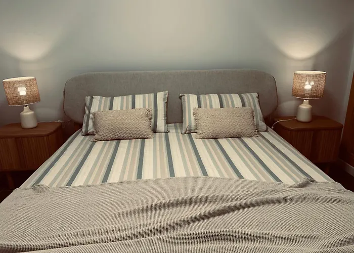 Vida 塔拉哈勒赫