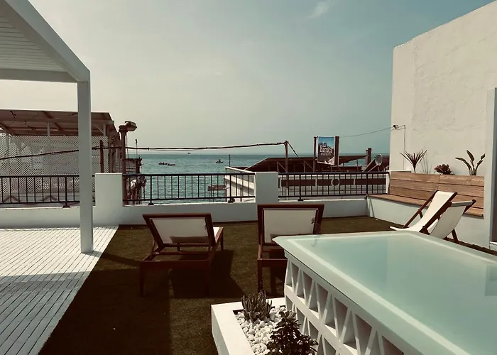 Vida 塔拉哈勒赫